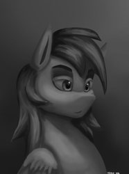 Size: 1000x1346 | Tagged: safe, artist:vezja, imported from derpibooru, rainbow dash, pegasus, pony, abstract background, black and white, bust, female, grayscale, mare, monochrome, portrait, simple background, solo