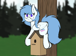 Size: 3000x2192 | Tagged: safe, artist:aaathebap, imported from derpibooru, oc, oc only, oc:coral streak, pegasus, pony, behaving like a bird, bird house, cute, eye clipping through hair, folded wings, funny, high res, looking at you, lying down, no pupils, pegasus oc, prone, solo, tail, wings