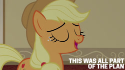 Size: 1280x720 | Tagged: safe, edit, edited screencap, editor:quoterific, imported from derpibooru, screencap, applejack, earth pony, pony, season 6, viva las pegasus, applejack's hat, cowboy hat, eyes closed, female, hat, mare, open mouth, open smile, smiling, solo, text