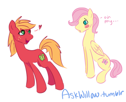 Size: 1280x1030 | Tagged: safe, artist:brooke-renee, color edit, edit, imported from derpibooru, big macintosh, fluttershy, earth pony, pegasus, pony, ..., blush sticker, blushing, butterreina, butterscotch, colored, eyes on the prize, female, floating heart, fluttermac, heart, looking back, macareina, male, mare, oh my, rule 63, shipping, simple background, stallion, straight, transparent background