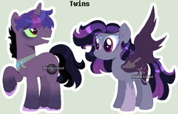 Size: 682x437 | Tagged: safe, artist:stormcloud-yt, imported from derpibooru, oc, oc only, pegasus, pony, base used, duo, female, looking back, male, mare, offspring, parent:king sombra, parent:twilight sparkle, parents:twibra, pegasus oc, raised hoof, simple background, smiling, stallion, unshorn fetlocks, wings