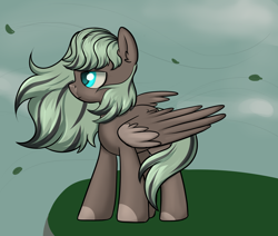 Size: 2600x2200 | Tagged: safe, artist:dumbwoofer, imported from derpibooru, oc, oc:forest air, pegasus, pony, dyed mane, female, hill, leaves, looking offscreen, mare, sky, solo, wind