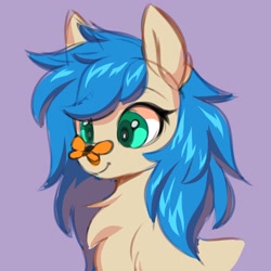 Size: 3000x3000 | Tagged: safe, artist:ask-colorsound, imported from derpibooru, oc, oc only, butterfly, pony, butterfly on nose, chest fluff, cute, female, insect on nose, mare, smiling, solo