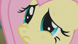 Size: 1280x720 | Tagged: safe, imported from derpibooru, screencap, fluttershy, pegasus, pony, dragonshy, season 1, close-up, cute, female, frown, mare, nose wrinkle, sad, sadorable, shyabetes, solo