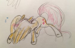 Size: 1280x822 | Tagged: safe, artist:kluzart, imported from derpibooru, fluttershy, pony, solo, traditional art, wing hands, wings