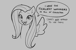 Size: 740x489 | Tagged: safe, fluttershy, pegasus, pony, aggie.io, dialogue, female, mare, monochrome, open mouth, simple background, smiling, speech bubble, spread wings, talking, whiskers, wings