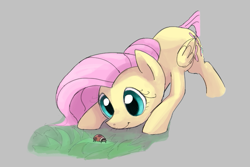Size: 671x447 | Tagged: safe, artist:dotkwa, fluttershy, insect, ladybug, pegasus, pony, aggie.io, crouching, female, mare, simple background, smiling, whiskers