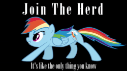 Size: 854x480 | Tagged: safe, artist:forest rain, artist:maximillianveers, imported from derpibooru, rainbow dash, pegasus, pony, 2012, animated, brony history, brony music, cover art, cute, female, join the herd, link in description, music, nostalgia, solo, sound, sound only, webm, youtube link