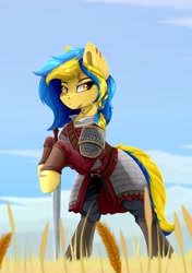 Size: 720x1020 | Tagged: safe, artist:singovih, imported from derpibooru, oc, oc only, oc:ukraine, earth pony, pony, armor, cloud, cropped, fantasy class, female, field, food, grass, mare, nation ponies, ponified, scar, sky, solo, sword, ukraine, warrior, weapon, wheat