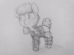 Size: 4128x3096 | Tagged: safe, artist:cherro, imported from derpibooru, oc, oc only, pony, prosthetics, solo, traditional art