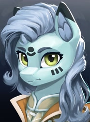 Size: 1560x2100 | Tagged: safe, artist:printik, imported from derpibooru, oc, oc only, earth pony, pony, equestria at war mod, bust, clothes, ear fluff, female, looking at you, mare, markings, portrait, solo