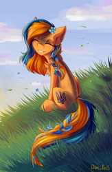 Size: 1824x2798 | Tagged: safe, alternate version, artist:yuris, imported from derpibooru, oc, oc only, oc:ukraine, earth pony, pony, braid, cute, earth pony oc, field, flower, flower in hair, good end, nation ponies, smiling, solo, two toned mane, ukraine