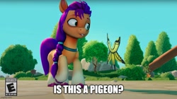 Size: 892x500 | Tagged: safe, edit, imported from derpibooru, sunny starscout, butterfly, earth pony, pony, g5, is this a pigeon, meme, my little pony: a maretime bay adventure, ponified meme, shimmerwing
