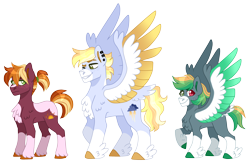 Size: 3124x2012 | Tagged: safe, artist:artistcoolpony, imported from derpibooru, oc, oc only, oc:sunny harvest, oc:thunder clap, oc:zap apple, earth pony, pegasus, pony, chest fluff, clothes, coat markings, colored hooves, colored wings, feathered fetlocks, female, male, mare, multicolored wings, offspring, parent:big macintosh, parent:rainbow dash, parents:rainbowmac, siblings, simple background, socks, socks (coat markings), spread wings, stallion, transparent background, trio, unshorn fetlocks, wings