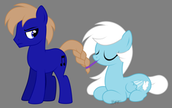 Size: 2500x1568 | Tagged: safe, artist:feather_bloom, imported from derpibooru, oc, oc:blue_skies, oc:feather_bloom, earth pony, pegasus, pony, annoyed, braided tail, couple, duo, earth pony oc, funny, gray background, pegasus oc, show accurate, simple background, tail