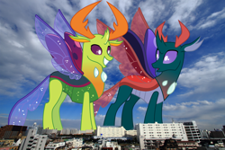 Size: 3000x2000 | Tagged: safe, artist:frownfactory, artist:thegiantponyfan, imported from derpibooru, pharynx, thorax, changedling, changeling, antlers, brothers, changedling brothers, duo, giant changeling, grin, high res, highrise ponies, horn, irl, japan, king thorax, looking back, macro, male, mega giant, open mouth, photo, ponies in real life, prince pharynx, siblings, smiling, spread wings, standing, story included, tokyo, wings