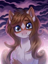 Size: 1963x2600 | Tagged: safe, artist:fenwaru, imported from derpibooru, oc, oc only, oc:mabel, pegasus, pony, blue eyes, blushing, cloud, coat markings, commission, facial markings, looking at you, pegasus oc, pinto, solo, star (coat marking), ych result