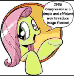 Size: 1040x1080 | Tagged: safe, edit, imported from derpibooru, sound edit, fluttershy, pegasus, pony, ai assisted, ai content, animated, bad advice fluttershy, exploitable meme, fifteen.ai, meme, needs more jpeg, sound, webm