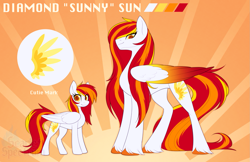 Size: 1589x1027 | Tagged: safe, artist:scarlet-spectrum, imported from derpibooru, oc, oc only, oc:diamond sun, pegasus, pony, colored wings, commission, cutie mark, female, height difference, mare, reference sheet, slim, tall, unshorn fetlocks, watermark, wings