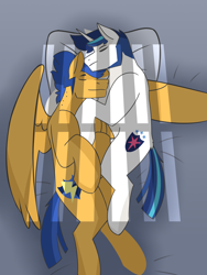 Size: 2700x3600 | Tagged: safe, artist:daotterguy, imported from derpibooru, flash sentry, shining armor, pegasus, pony, unicorn, gay, male, shiningsentry, shipping, stallion