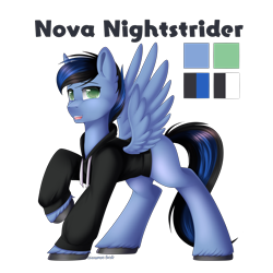 Size: 3000x3000 | Tagged: safe, artist:xcinnamon-twistx, imported from derpibooru, oc, oc only, oc:nova nightstrider, pegasus, clothes, commission, hoodie, male, reference sheet, simple background, solo, transparent background