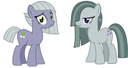 Size: 2803x1500 | Tagged: safe, artist:sketchmcreations, imported from derpibooru, limestone pie, marble pie, earth pony, pony, duo, female, frown, looking at you, mare, personality swap, pi day, pie sisters, siblings, simple background, sisters, standing, transparent background, vector