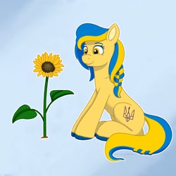 Size: 1500x1500 | Tagged: safe, artist:redquoz, imported from derpibooru, oc, oc only, oc:ukraine, braid, flower, nation ponies, sitting, solo, sunflower, ukraine