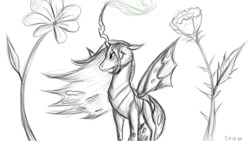 Size: 1600x900 | Tagged: safe, artist:sunniesfunthecupcake, imported from derpibooru, queen chrysalis, changeling, changeling queen, female, flower, monochrome, sketch, solo