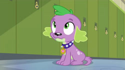 Size: 3410x1920 | Tagged: safe, imported from derpibooru, screencap, spike, spike the regular dog, dog, equestria girls, friendship games, hallway, high res, lockers, male, solo