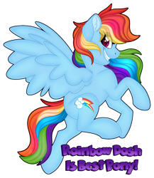 Size: 1280x1475 | Tagged: safe, artist:missbramblemele, imported from derpibooru, rainbow dash, pegasus, pony, best pony, ear fluff, eye clipping through hair, female, grin, hooves, mare, simple background, smiling, solo, spread wings, tail, text, transparent background, wings