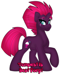 Size: 1280x1596 | Tagged: safe, artist:missbramblemele, imported from derpibooru, fizzlepop berrytwist, tempest shadow, pony, unicorn, best pony, broken horn, female, hooves, horn, mare, raised hoof, simple background, smiling, solo, standing, tail, text, transparent background