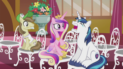 Size: 1280x720 | Tagged: safe, imported from derpibooru, screencap, hayseed turnip truck, princess cadance, shining armor, alicorn, earth pony, pony, unicorn, season 5, slice of life (episode), chair, crying, crying armor, exploitable meme, female, male, mare, meme, meme origin, sad, sad armor, sitting, stallion, teary eyes, trio, wedding day, whining, whining armor