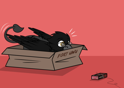 Size: 1152x821 | Tagged: safe, artist:rokosmith26, imported from derpibooru, part of a set, oc, oc only, oc:jim, griffon, ammunition, bait, behaving like a cat, box, glasses, griffon oc, happy, solo, uwu