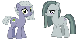 Size: 2803x1500 | Tagged: safe, artist:sketchmcreations, imported from derpibooru, limestone pie, marble pie, earth pony, pony, female, frown, looking at you, mare, personality swap, pi day, pie sisters, siblings, simple background, sisters, standing, transparent background, vector