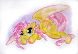 Size: 1280x897 | Tagged: safe, artist:nicolaykoriagin, imported from derpibooru, fluttershy, pegasus, female, solo, traditional art