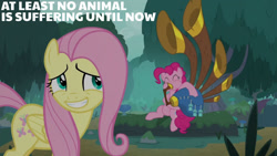 Size: 1280x720 | Tagged: safe, edit, edited screencap, editor:quoterific, imported from derpibooru, screencap, fluttershy, pinkie pie, earth pony, pegasus, pony, season 8, yakity-sax, spoiler:s08, ^^, cute, diapinkes, duo, eyes closed, female, grin, mare, pinkie being pinkie, smiling, text, yovidaphone