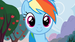 Size: 1920x1080 | Tagged: safe, imported from derpibooru, screencap, rainbow dash, pegasus, pony, season 2, the super speedy cider squeezy 6000, cute, dashabetes, female, looking at you, mare, smiling, solo