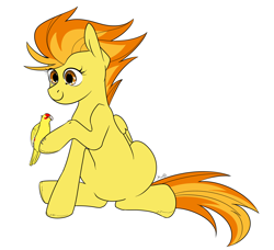 Size: 2262x2060 | Tagged: safe, artist:xwosya, imported from derpibooru, spitfire, bird, parrot, pegasus, pony, female, kakariki, pet, simple background, sitting, solo, white background