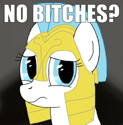 Size: 1068x1080 | Tagged: artist needed, safe, imported from derpibooru, pony, armor, female, guardsmare, mare, megamind, meme, no bitches?, ponified, ponified meme, royal guard, rule 85, solo, text, vulgar