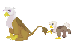 Size: 1280x732 | Tagged: safe, artist:itstechtock, imported from derpibooru, gilda, oc, oc:high glide, griffon, hippogriff, hybrid, chickub, interspecies offspring, offspring, parent:dumbbell, parent:gilda, parents:gildabell, simple background, transparent background