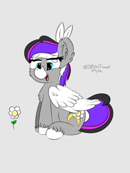 Size: 1536x2048 | Tagged: safe, alternate version, artist:lunastaralight, imported from derpibooru, oc, oc only, pegasus, pony, cheek fluff, chest fluff, coat markings, colored hooves, colored wings, digital art, ear fluff, eye clipping through hair, eyebrows, eyebrows visible through hair, facial markings, flower, folded wings, full body, g5, gray background, heart eyes, hooves, multicolored mane, multicolored tail, my little pony: a new generation, open mouth, open smile, pegasus oc, signature, simple background, sitting, smiling, snip (coat marking), solo, tail, unshorn fetlocks, wingding eyes, wings