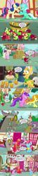 Size: 1136x5298 | Tagged: safe, artist:silverbuller, edit, edited screencap, imported from derpibooru, screencap, amethyst star, big macintosh, bon bon, carrot top, cup cake, discord, golden harvest, grand pear, lyra heartstrings, millie, sparkler, spike, sugar belle, sweetie drops, the big mac question, amused, apple, big macintosh is not amused, bon bon is amused, comic, cup cake is not amused, female, food, lesbian, lyra is amused, lyrabon, male, marriage proposal, screencap comic, shipper on deck, shipping, spike is not amused, straight, sugarmac, unamused