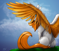 Size: 2500x2160 | Tagged: safe, artist:tenebrisnoctus, imported from derpibooru, oc, oc only, oc:feather river, pegasus, pony, solo, spread wings, wings