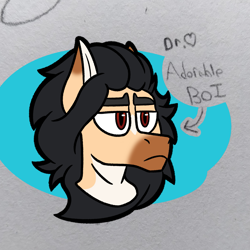 Size: 1975x1975 | Tagged: safe, artist:drheartdoodles, imported from derpibooru, oc, oc:valentino, colored, digital art, flat colors, long hair, male, multicolored, stallion