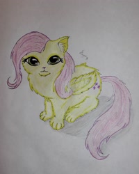 Size: 2994x3742 | Tagged: safe, artist:magarnadge, imported from derpibooru, fluttershy, cat, catified, fluttercat, solo, species swap, traditional art