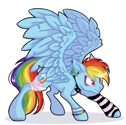 Size: 1024x1014 | Tagged: safe, artist:dreamy-kitty, imported from derpibooru, rainbow dash, pegasus, pony, bandage, bracelet, collar, female, jewelry, mare, pride, pride flag, simple background, solo, spiked collar, spread wings, transgender pride flag, white background, wings