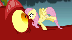 Size: 1280x720 | Tagged: safe, imported from derpibooru, screencap, basil, fluttershy, dragon, pegasus, pony, dragonshy, season 1, angry, duo, face to face, female, male, mare, shocked