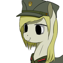 Size: 1280x1280 | Tagged: safe, artist:dr-fade, imported from derpibooru, oc, oc only, clothes, hat, military uniform, simple background, solo, transparent background, ukraine, uniform