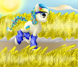 Size: 667x574 | Tagged: safe, artist:crazymay, imported from derpibooru, oc, oc only, oc:ukraine, earth pony, pony, food, nation ponies, ponified, sky, solo, sun, ukraine, wheat