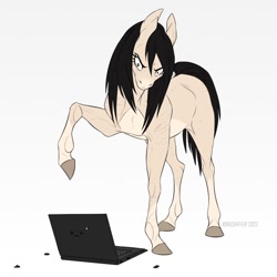 Size: 800x800 | Tagged: safe, artist:dementra369, imported from derpibooru, oc, oc only, oc:kira baer, earth pony, pony, angry, animated at source, computer, hoers, horse problems, laptop computer, simple background, solo, white background